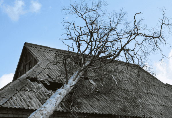 Flat Roof Repair in Pflugerville, TX