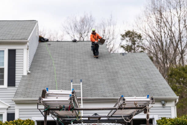 Top Signs Your Shingle Roof Needs Repair in Cedar Park TX