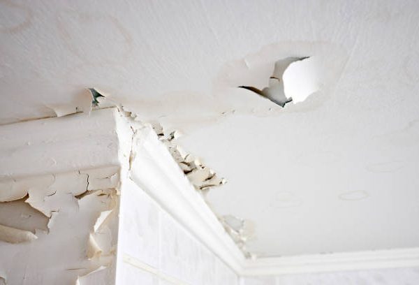 How Can Commercial Roofing Services in Cedar Park, TX Prevent Costly Roof Leaks?