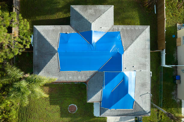 What Are the Most Common Roof Problems Solved by Reliable Roof Maintenance Services in Cedar Park TX