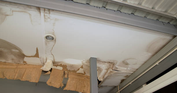 How Do Professional Residential Roofing Services in Cedar Park, TX Protect Storm Damage?