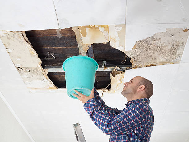 Emergency vs Preventive Roof Maintenance Services in Cedar Park TX Which Saves More?