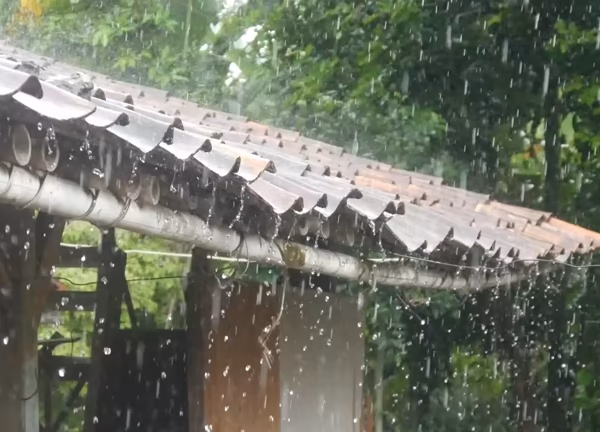 Emergency Commercial Flat Roof Repair in Belton, TX